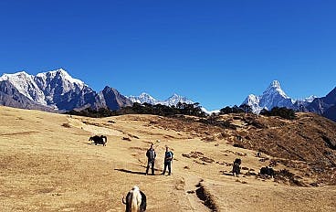 View of the Himalayan Range
